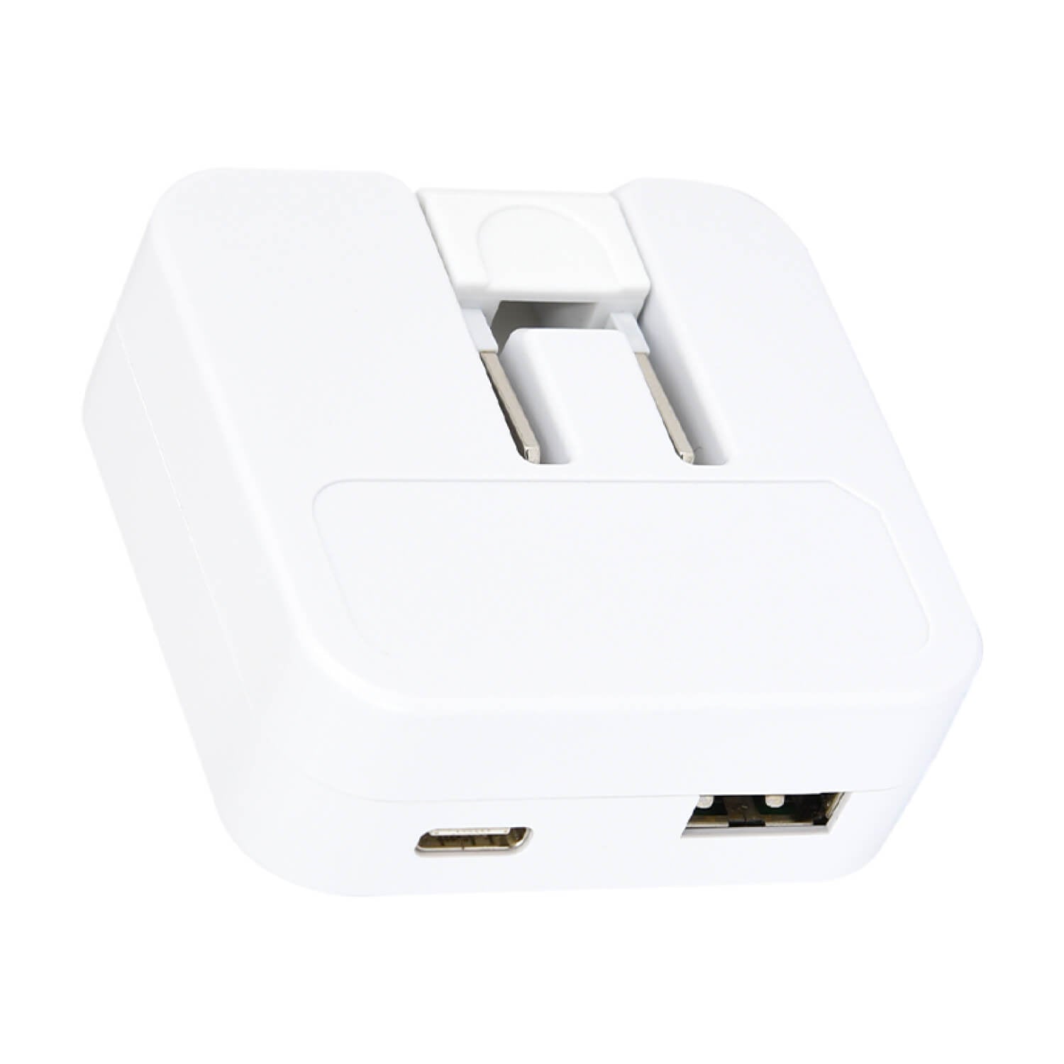 ホワイトタイガーとブラックタイガー USB/USBType-C ACアダプタ